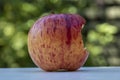 A Delicious Red Apple with a Bite out of it Royalty Free Stock Photo