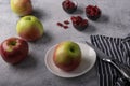 Delicious red apples, a knife prepared for cutting an apple, small bowls with dried cranberries.