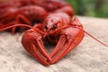 Delicious red boiled crayfish on wooden table, closeup Royalty Free Stock Photo