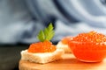 Delicious red caviar on wheat bread served with parseley on wooden desk Royalty Free Stock Photo