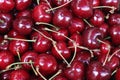 Delicious red cherries fruit beautiful tasty nutritious natural food