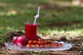 A delicious red cocktail in a tropical garden