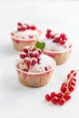 delicious red currant muffins with fresh berries and powdered sugar Royalty Free Stock Photo