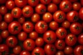 Delicious red farmers tomatoes. Summer tray market agriculture farm full of organic vegetables Royalty Free Stock Photo