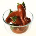 Delicious red New Mexico hot chili peppers Royalty Free Stock Photo