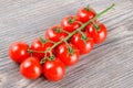 Delicious red ripe cherry tomatoes Royalty Free Stock Photo