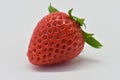 A delicious strawberry