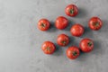 Delicious red tomatoes for making ketchup on grey background. Vegetables covered with water drops. Freshness and nutrition concept