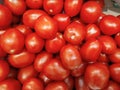 Delicious red tomatoes. Summer tray market agriculture farm full of organic vegetables It can be used as background. selective Royalty Free Stock Photo