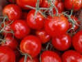 Delicious red tomatoes. Summer tray market agriculture farm full of organic vegetables It can be used as background. selective Royalty Free Stock Photo