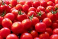 Delicious red tomatoes. Summer tray market agriculture farm full of organic vegetables, selective focus, red tomatoes background Royalty Free Stock Photo