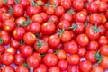 Delicious red tomatoes. Summer tray market agriculture farm full of organic vegetables, selective focus, red tomatoes background Royalty Free Stock Photo