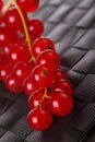 Delicious redcurrants Royalty Free Stock Photo