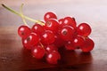 Delicious redcurrants Royalty Free Stock Photo