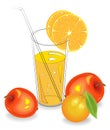 Delicious refreshing drink. In a glass of natural fruit juice, a piece of mandarin, orange and apple. Vector illustration Royalty Free Stock Photo