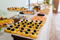 Delicious and refreshing fruity appetizers on a luxurious buffet at a celebration