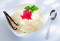 Delicious rice pudding Royalty Free Stock Photo