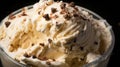 Delicious Rice Pudding Ice Cream With Chocolate Chips