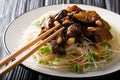 Delicious rice vermicelli with caramelized eggplants and peanuts close-up on a plate. horizontal Royalty Free Stock Photo