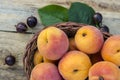 Delicious ripe apricots and berries on rustic background. Health