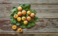 Apricot, healthyfood, fresh, food, fruit, healthy, organic, natural,