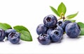 Delicious ripe blueberries on white background