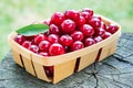 Delicious ripe cherries in a little wooden basket, on textured w Royalty Free Stock Photo
