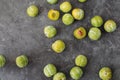 Delicious ripe green plums Greengages Black concrete background