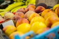 Delicious ripe and juicy nectarines, peaches and bananas in boxes on a shelf in a fruit store of supermarket. Royalty Free Stock Photo