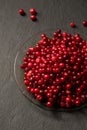 delicious ripe lingonberries on a dark background
