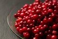 delicious ripe lingonberries on a plate on a dark background