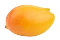 Delicious ripe mango isolated on white background. Exotic fruit Royalty Free Stock Photo