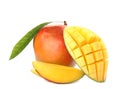 Delicious ripe mangoes on white background Royalty Free Stock Photo