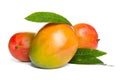 Delicious ripe mangoes on white. Tropical fruit Royalty Free Stock Photo
