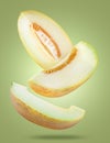 Delicious ripe melon slices falling on olive color background Royalty Free Stock Photo