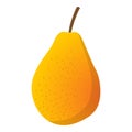 Delicious ripe pear fruit isolated