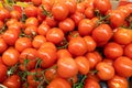 Delicious ripe red branch tomatoes at grogery store or farmer`s market. Summer tray market agriculture farm full of Royalty Free Stock Photo