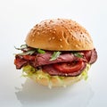 Delicious roast beef burger with salad trimmings Royalty Free Stock Photo