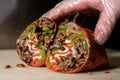delicious roast beef wrap Royalty Free Stock Photo
