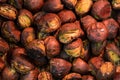 Delicious Roasted chestnuts. Tianjin chestnut, Japanese chestnut