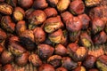 Delicious Roasted chestnuts. Tianjin chestnut, Japanese chestnut