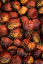 Delicious Roasted chestnuts. Tianjin chestnut, Japanese chestnut