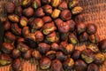 Delicious Roasted chestnuts. Tianjin chestnut, Japanese chestnut