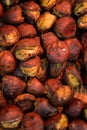 Delicious Roasted chestnuts. Tianjin chestnut, Japanese chestnut