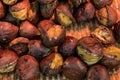 Delicious Roasted chestnuts. Tianjin chestnut, Japanese chestnut