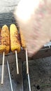 delicious roasted corn form indonesia.