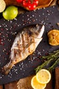 Delicious roasted dorado or Gilt-head bream fish with lemon and orange slices, spices, and fresh rosemary on baking sheet, close- Royalty Free Stock Photo