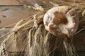 Delicious roll bakery sugar and wheat spikes Royalty Free Stock Photo