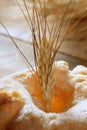 Delicious roll bakery sugar and wheat spikes Royalty Free Stock Photo