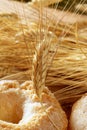 Delicious roll bakery sugar and wheat spikes Royalty Free Stock Photo